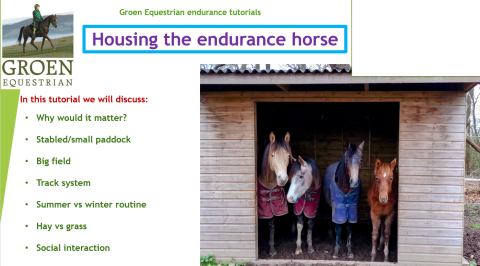 Screenshot-2024-09-02-220652