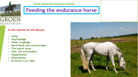 Screenshot-2024-09-02-220711