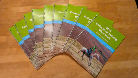 PXL_20251212_181909629.MP-1