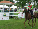 groen equestrian performance stud moragh akhdhar