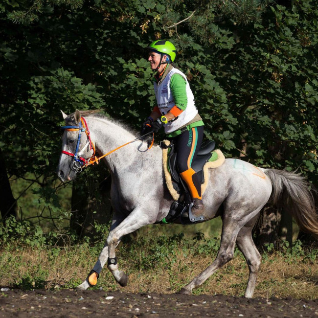 groen equestrian performance stud watt du colombier