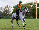 groen equestrian performance stud watt du colombier