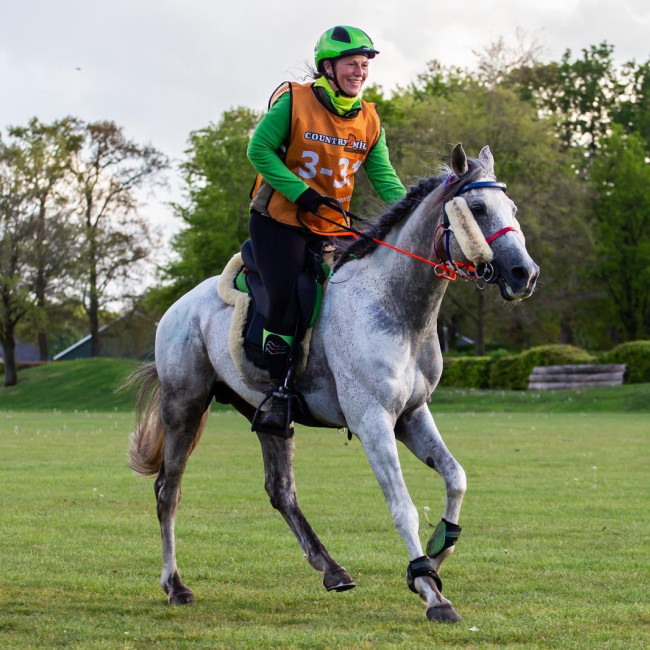 groen equestrian performance stud watt du colombier